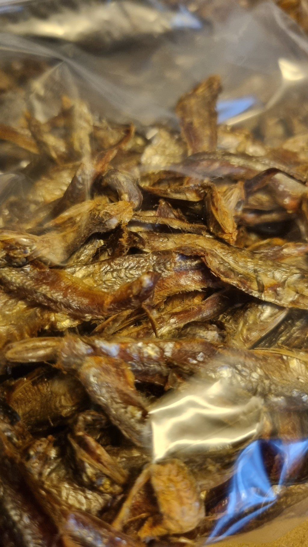 Dried Minnows - The Bug Room