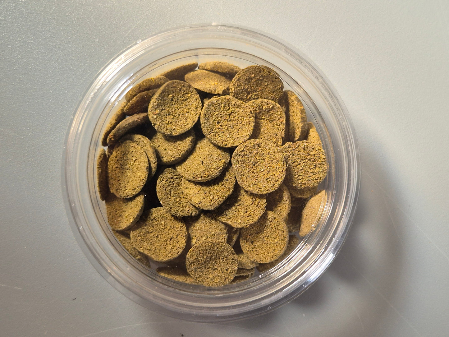 Algae Wafers - The Bug Room