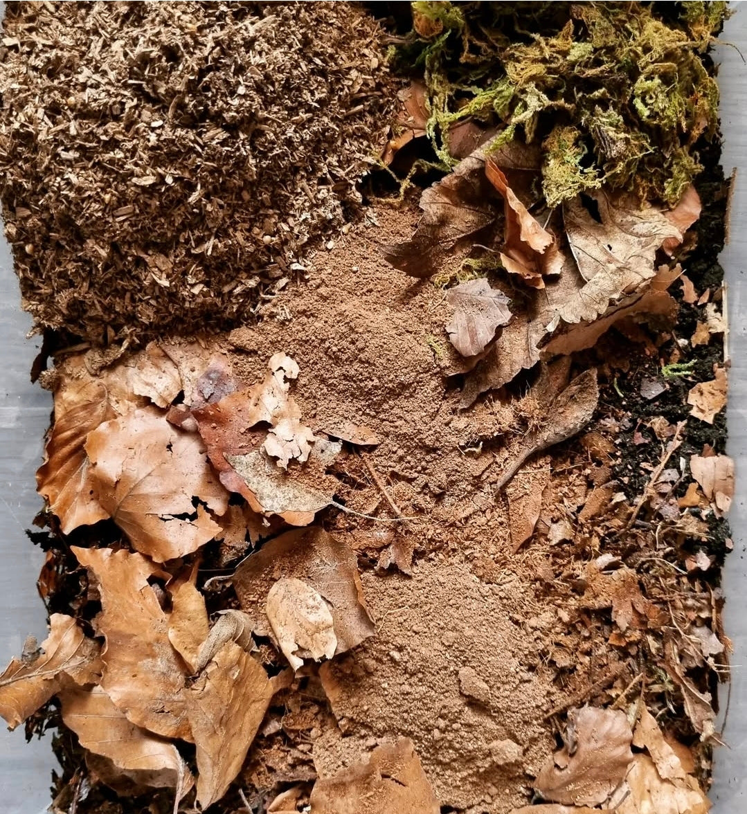 Isopod Substrate, Millipede Substrate, Beetle Substrate - The Bug Room