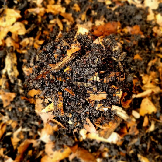100% Organic, Edible Isopod, Millipede, Beetle substrate with charcoal, leaf litter, rotten wood, guano, worm castings & beneficial bacteria