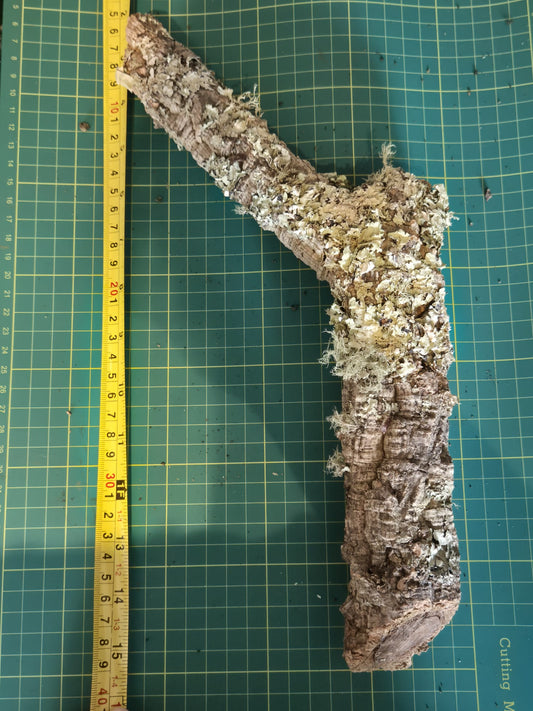 Cork Bark