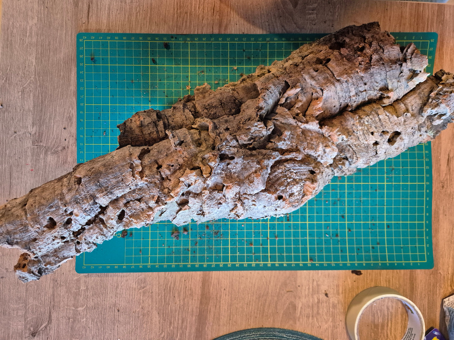 Cork Bark
