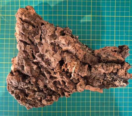 Cork Bark