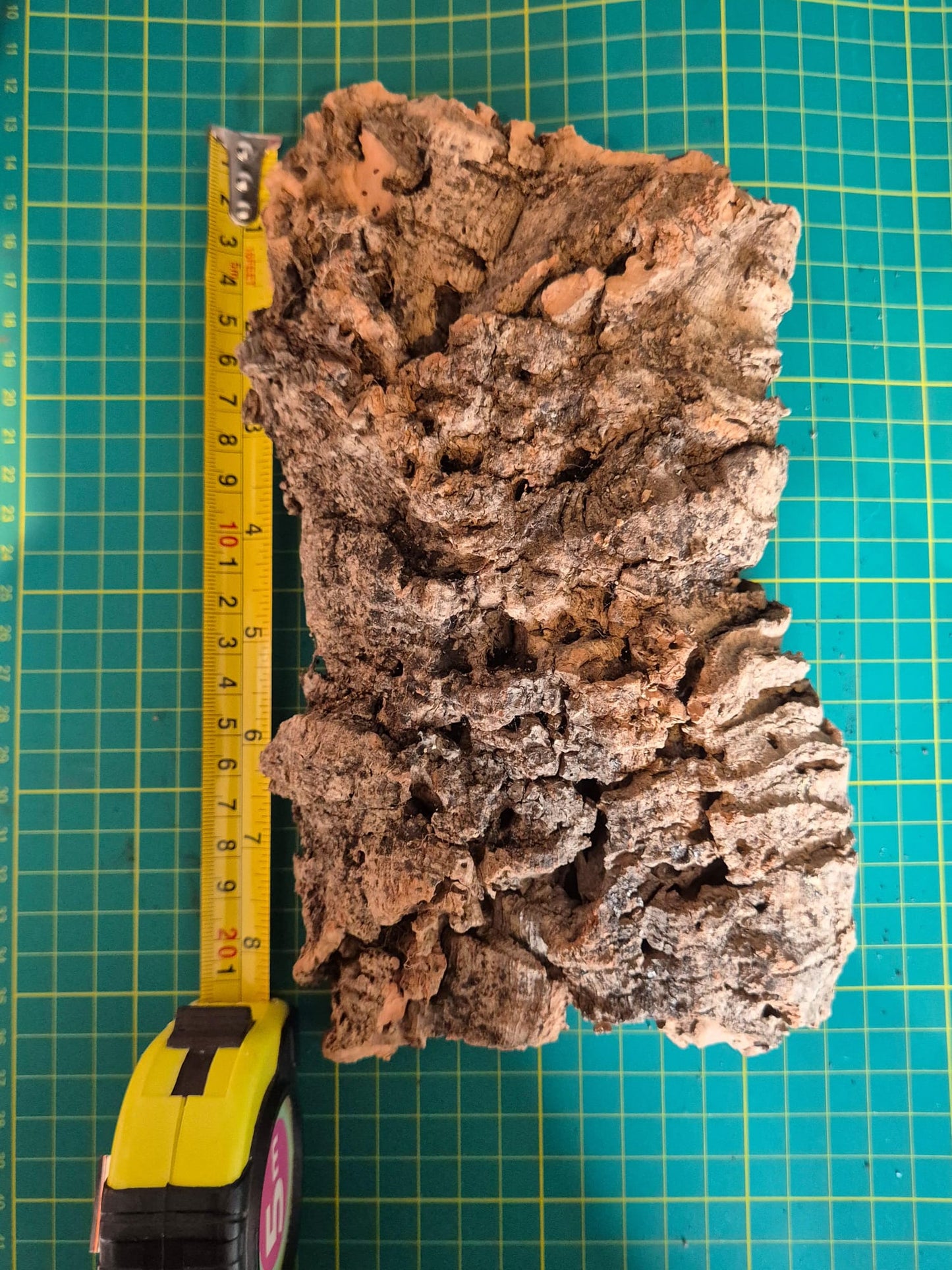 Cork Bark